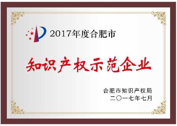 2017年度合肥市知识产权示范企业