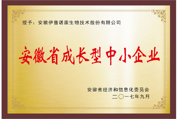 安徽省成长型中小企业