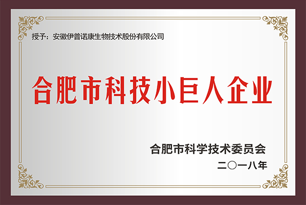 合肥市科技小巨人企业